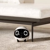 enabot ROLA Mini 愛犬・愛猫・家族のコンパニオンロボット enabot ROLA Mini 愛犬・愛猫・家族のコンパニオンロボット