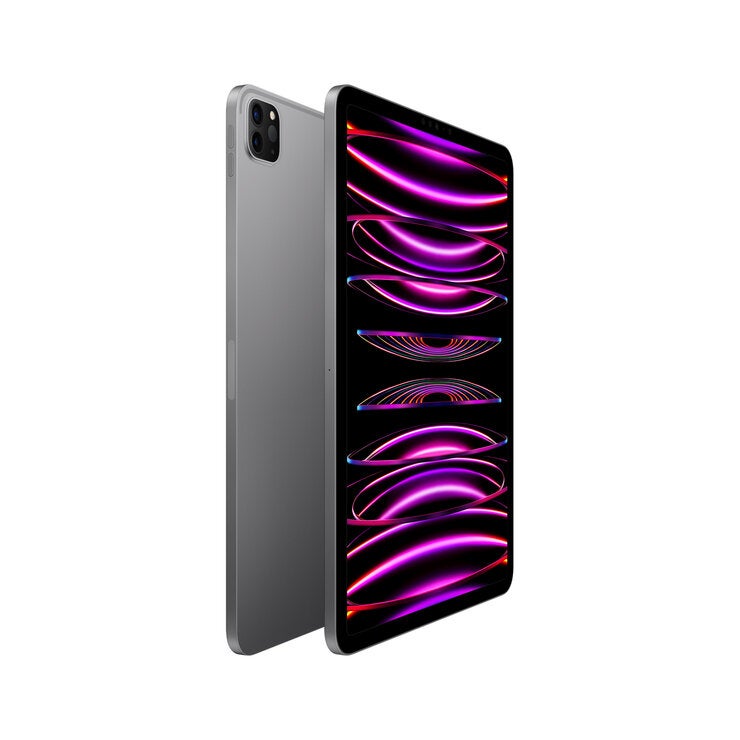 Apple iPad Pro (第4世代) 11インチ Wi-Fiモデル 2TB スペースグレー