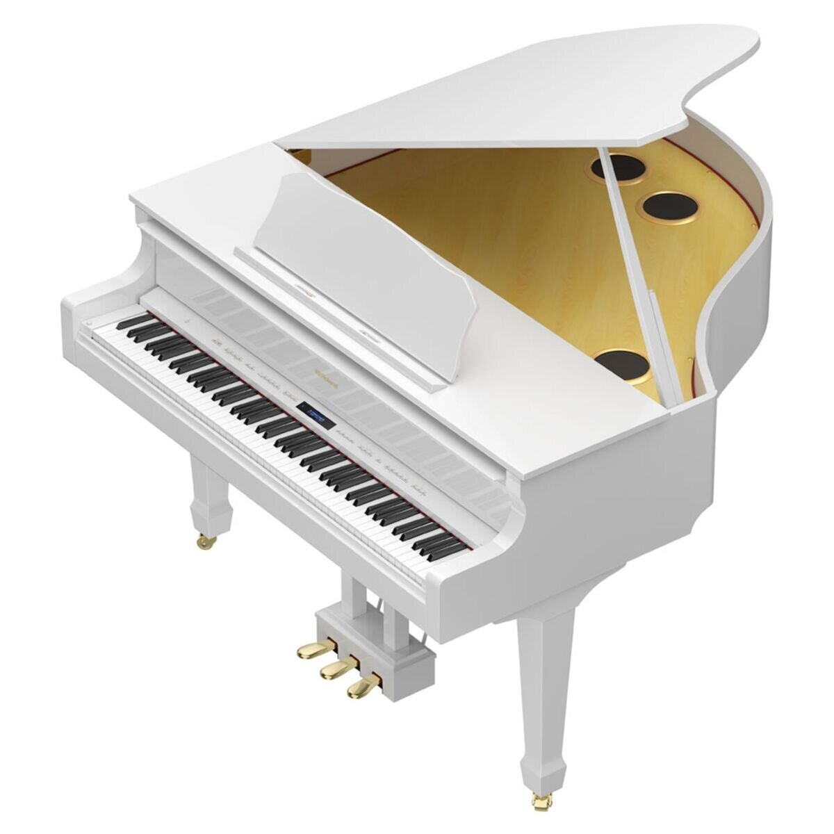 Roland GP-100 ローランド　専用ケース付き