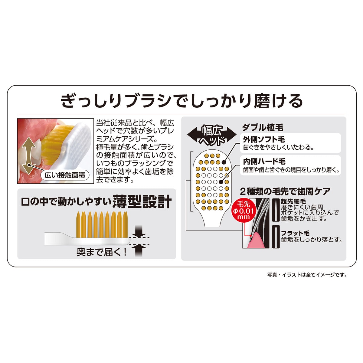 エビス プレミアムケアブラシ シリーズ 6列 6本セット