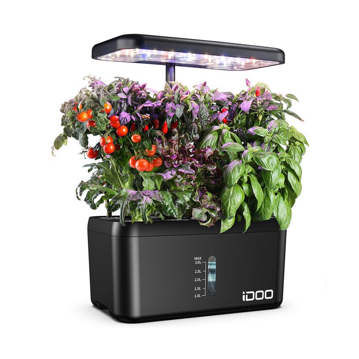 日本全国送料無料商品人気ランキング 本日限定 61P83Yd9CtL._AC_UF350