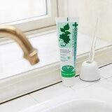 デンティス 歯磨き粉 チューブタイプ 160g x 2本