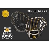 野球グローブ 小学校低学年用 9インチ 左投げ 柔らかいボール付 福岡ソフトバンクホークス
