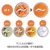 レコルト フードプロセッサーコンボ RCP-6(W)