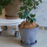 アートストーン コニックプランター27cm 受け皿付き 2個セット