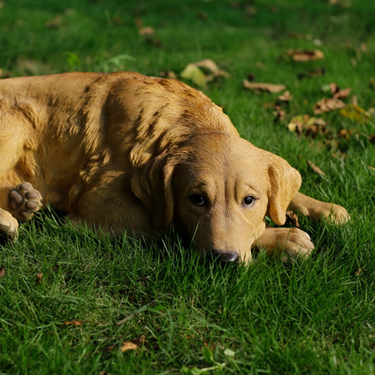 ウービア うつぶせレトリバーの置物 H20537