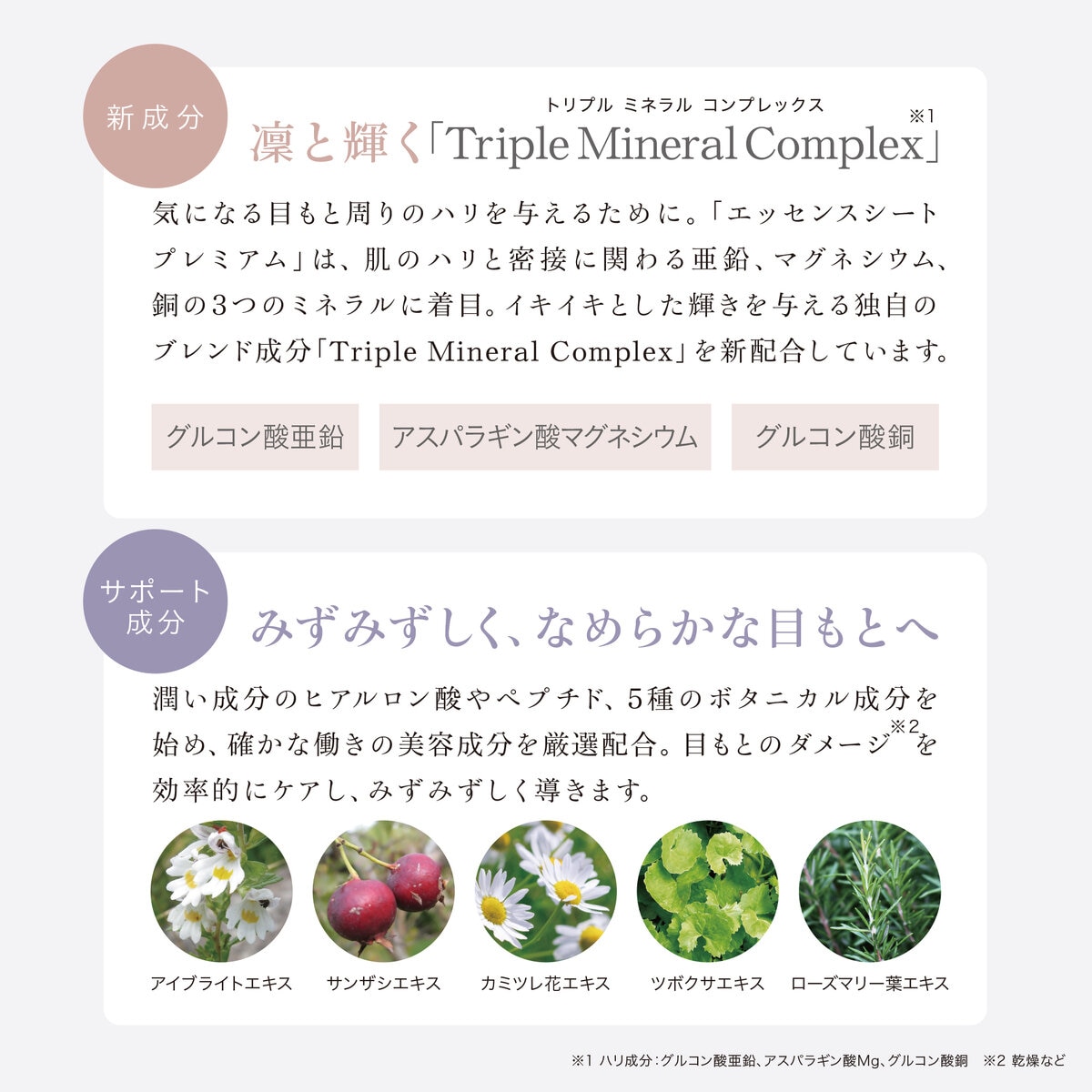 アクシージア ビューティーアイズ エッセンス シート プレミアム 60枚 (30回分) Costco Japan