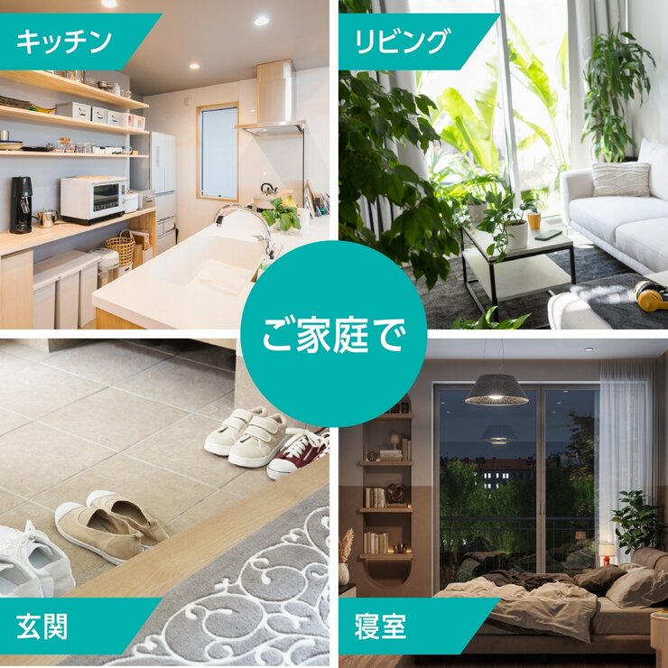 MAX STEM (マックス ステム) ライトトラップ 本体 + 付け替え用プレート1個