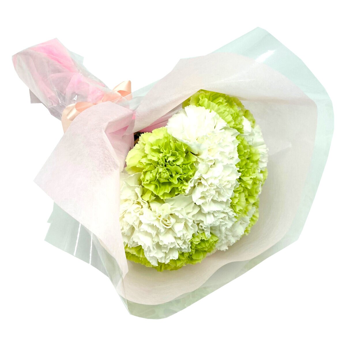 カーネーション 24本 ホワイトミックス