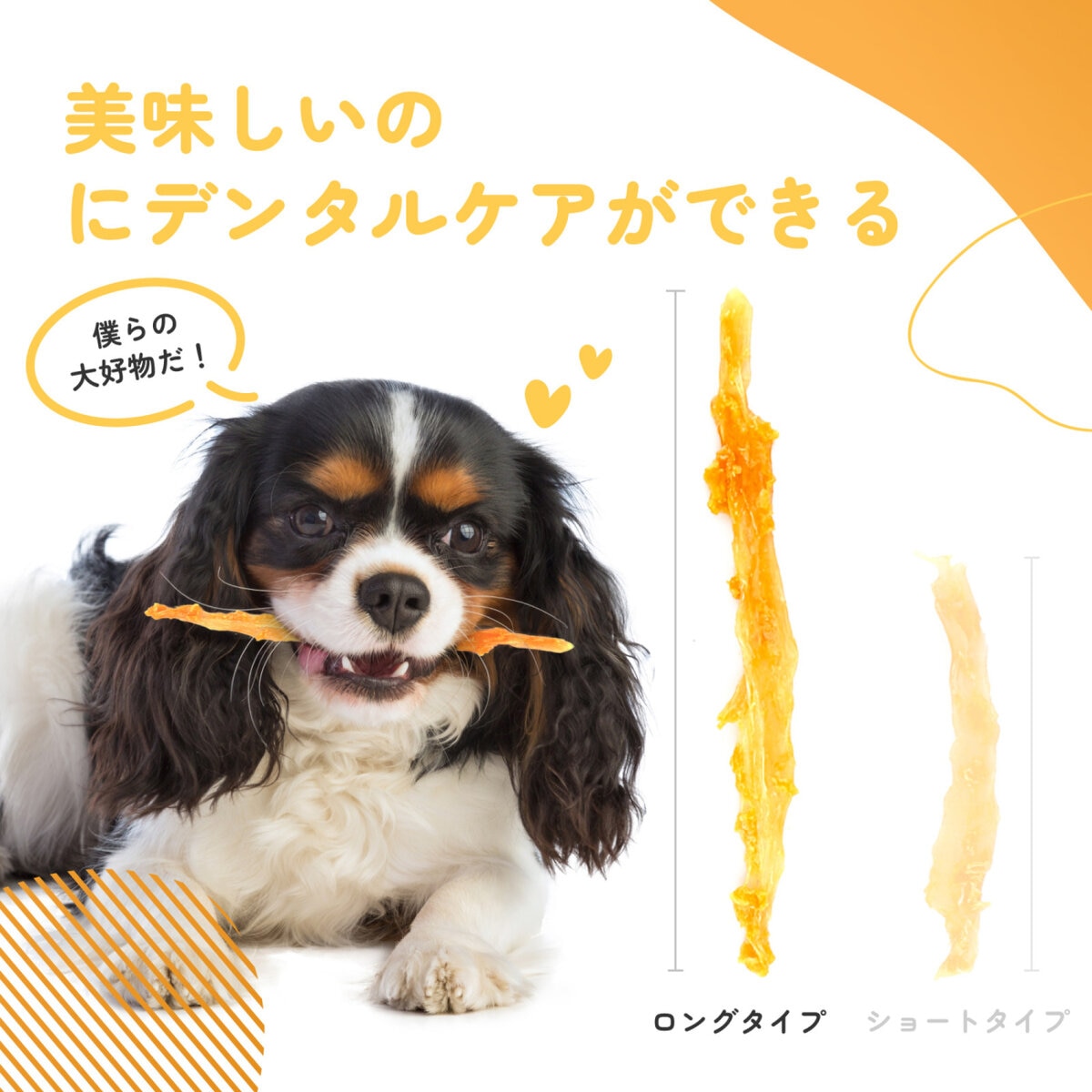 iPaw (アイポー) ターキーアキレス 犬用おやつ ロング 75g x 3袋