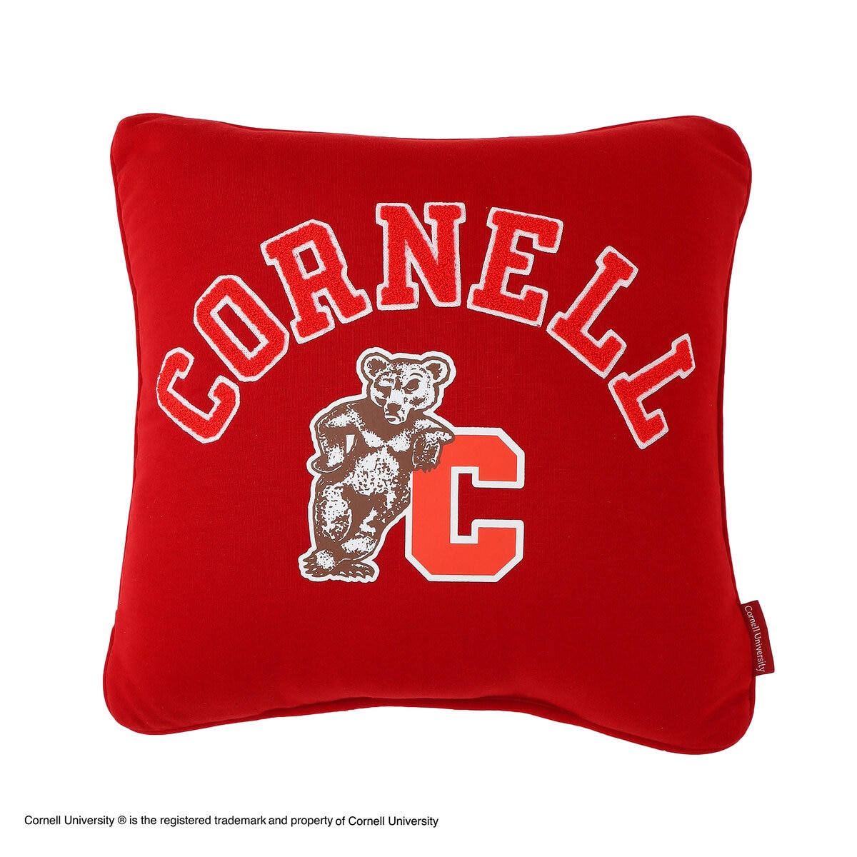 カレッジ デコピロー クッション 45 x 45cm