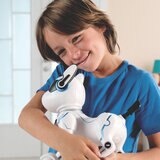 パワーパピー ロボット