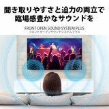 シャープ アクオス 65インチ 4K 有機ELテレビ 4T-C65DQ2 (DO NOT FINALIZE) シャープ アクオス 65インチ 4K 有機ELテレビ 4T-C65DQ2 (DO NOT FINALIZE)