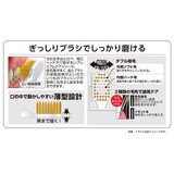 エビス プレミアムケアブラシ シリーズ 6列 6本セット