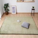 アイリスオーヤマ ラ・クッションラグ 185 x 240cm グリーン