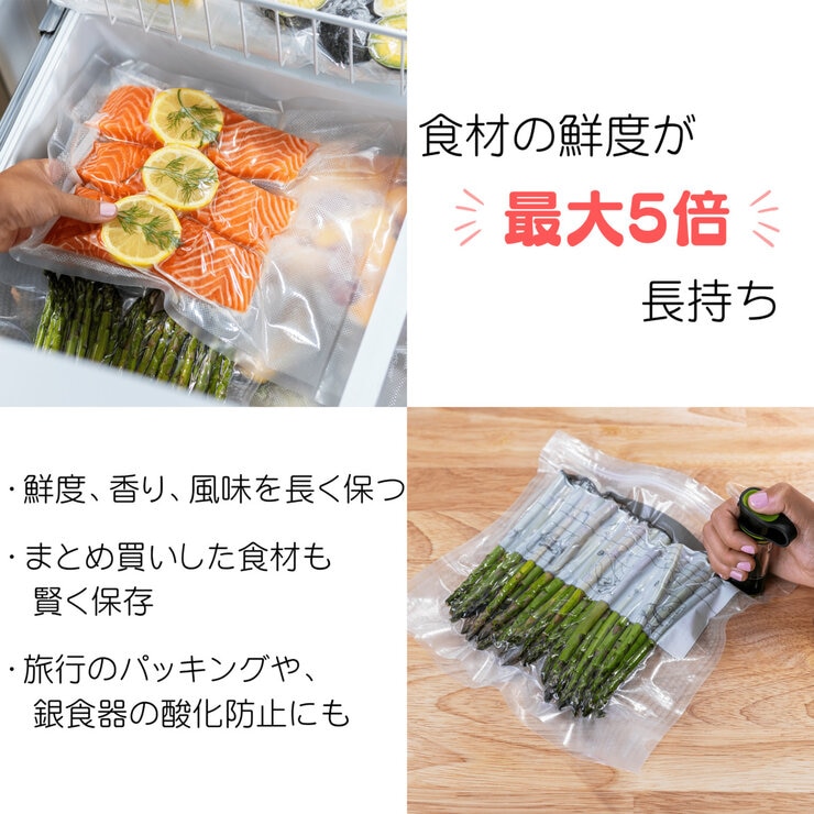 フードセーバー 真空パックマシーン VS2200-040