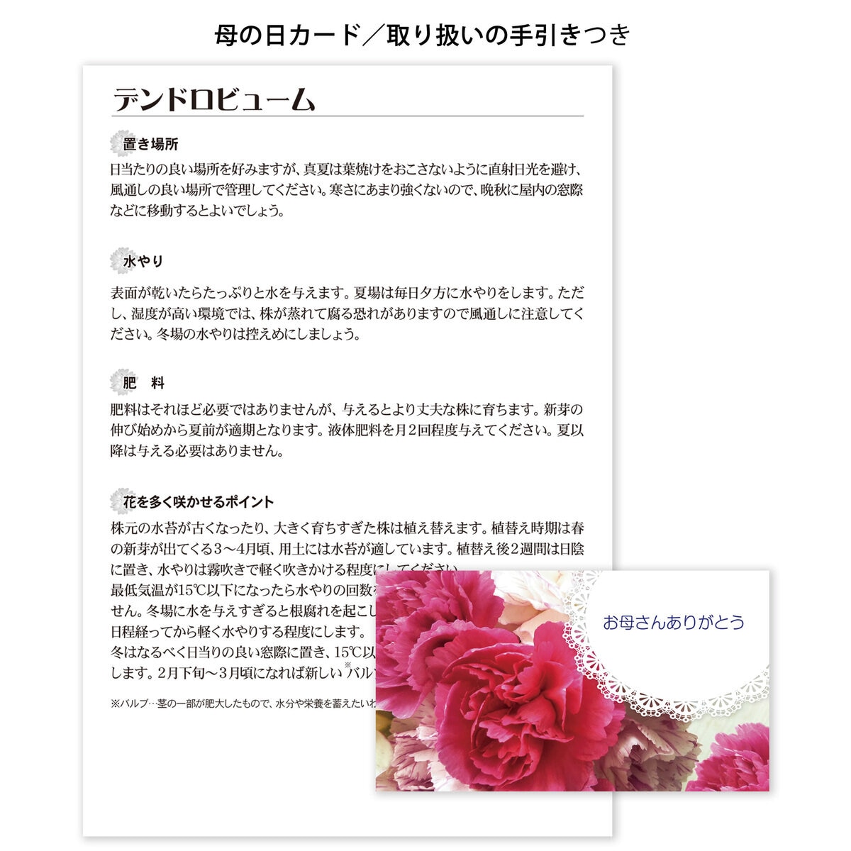 デンドロビューム ハート仕立て 母の日期間配送 お届け日5月5日~5月10日 デンドロビューム ハート仕立て 母の日期間配送 お届け日5月5日~5月10日