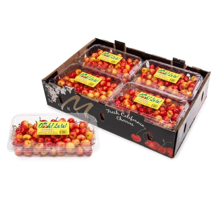 レイニアチェリー907g レイニアチェリー907g