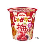 じゃがりこ 梅味 624g 12個