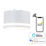 Edison Smart(エジソンスマート) TREOミニシーリングライト 引掛け