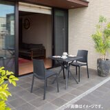 タカショー ガーデンチェア 2脚組 チャコールグレー (ボスコ）