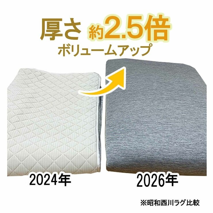 昭和西川 極厚冷感ラグ 200 x 270cm