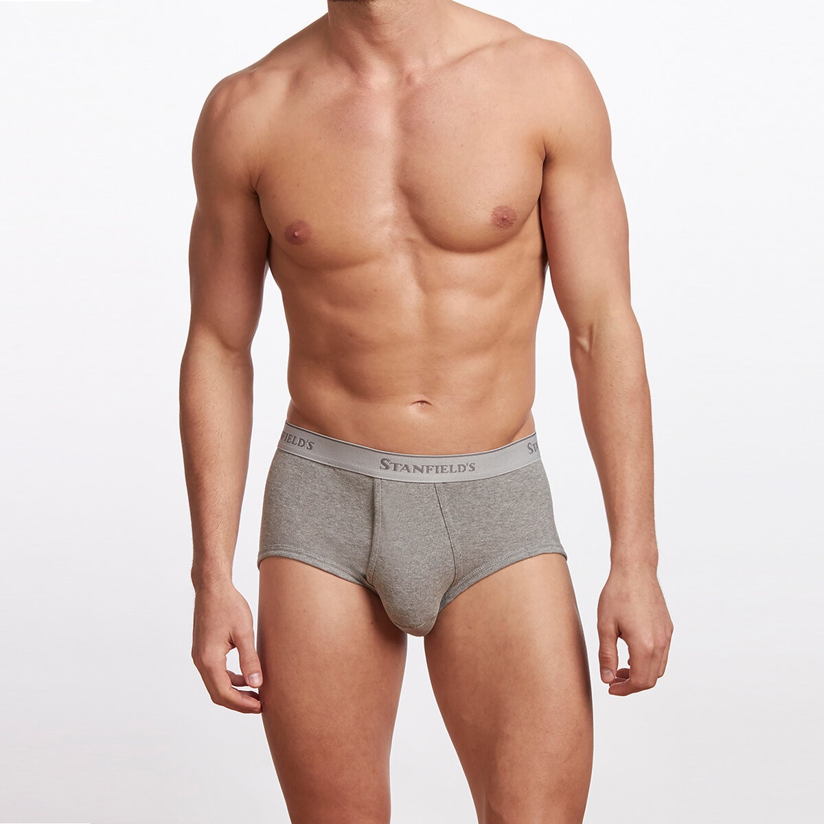 STANFIELDS メンズ ブリーフ 6枚組 XL グレー
