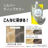 TOTTIMO! ディップカラー トリートメント 500g x 2 シルバー