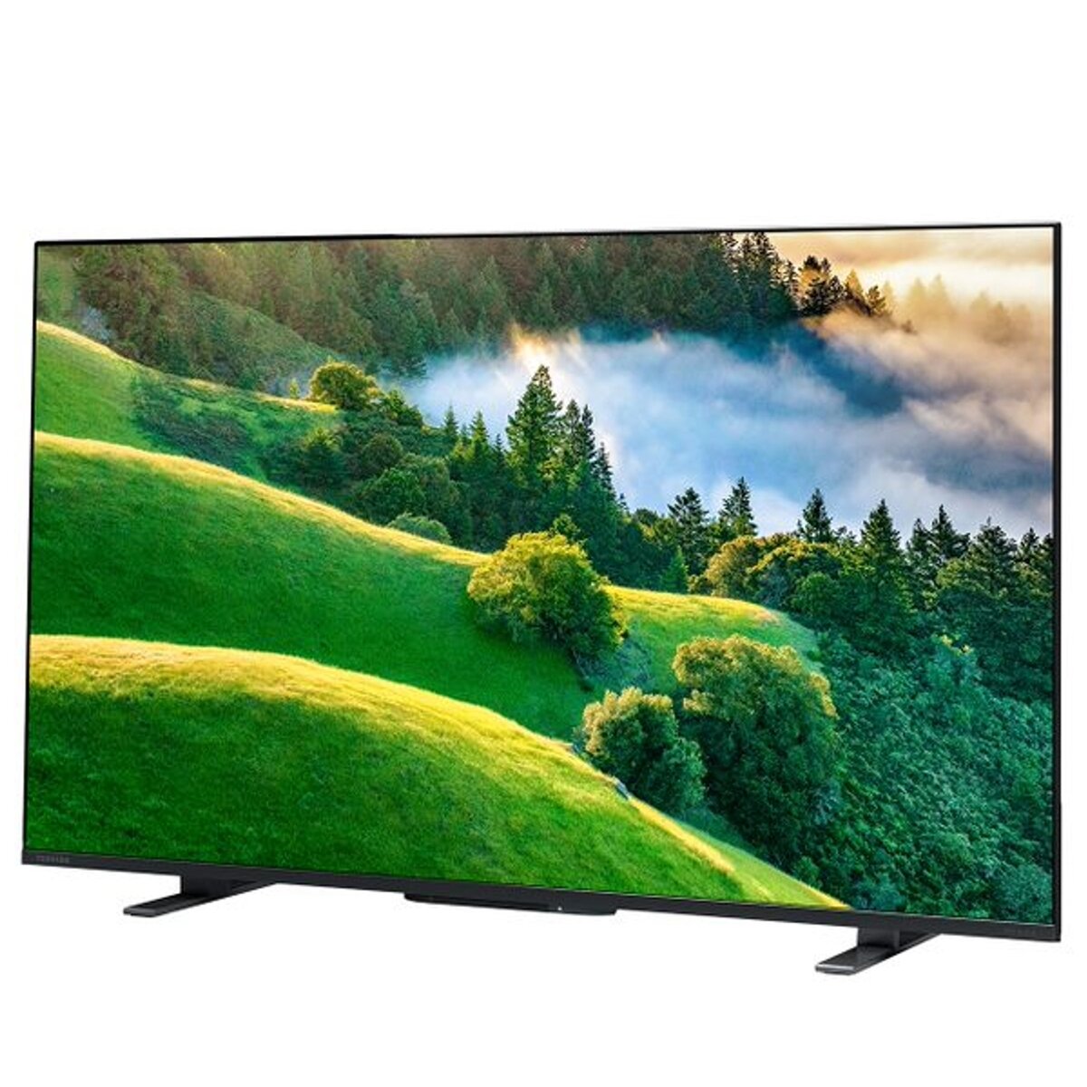 東芝 レグザ 43インチ 4K HDR液晶テレビ 43M550L