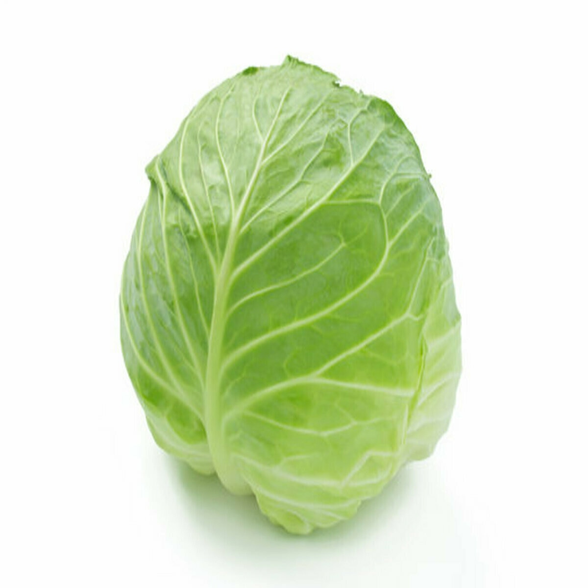 キャベツ1玉