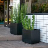 ヤマテー ベータ キューブプランター S 36cm ブラック ZZ-C14K36E