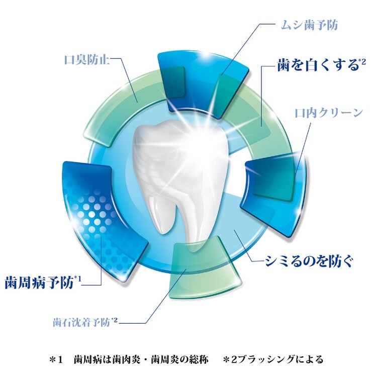 シュミテクト コンプリートワンEX 90g シュミテクト コンプリートワンEX 90g