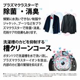 シャープ ドラム式洗濯機 洗濯 11kg 乾燥 6kg 右開き シルバーES-G11B SR