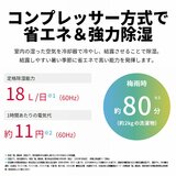 SHARP プラズマクラスター搭載コンプレッサ式除湿機 CV-S180-W
