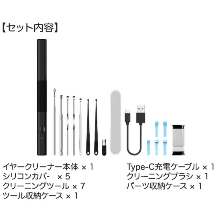 CleanEze カメラ付きイヤークリーナーPro P80