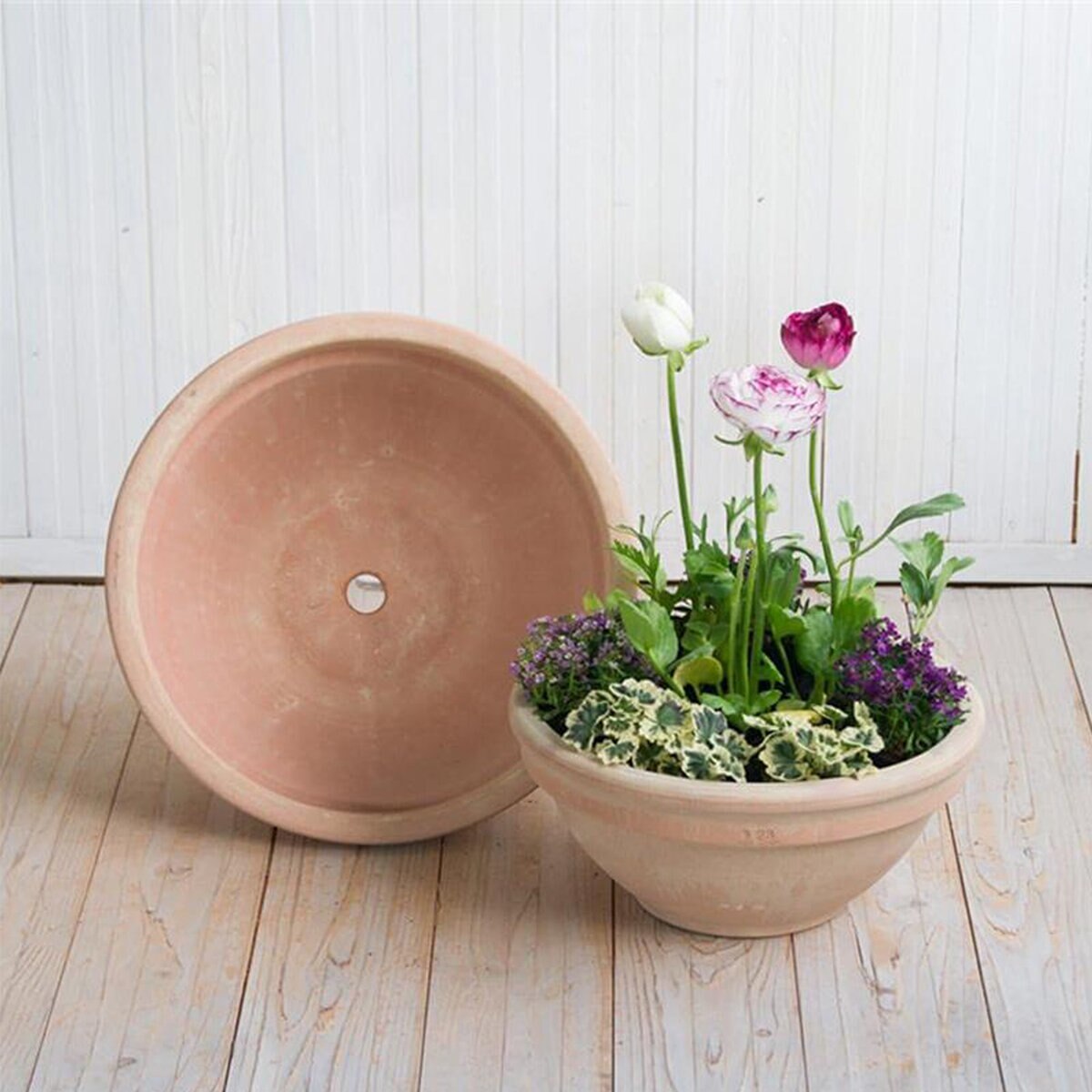 ヤマテー シクラミーノ アリーナ テラコッタ鉢 L 11号 33.5cm 2個セット 園芸用土10L & 鉢底石付き