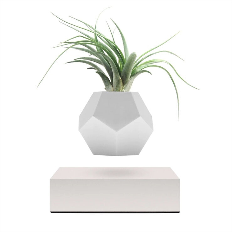 空中に植物を浮かせる 新しいプランター Flyte Lyfe (ライフ) 宙に浮くプランター 白 | Costco Japan