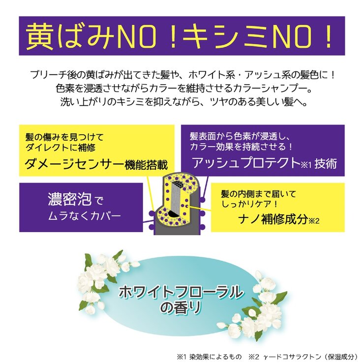 TOTTIMO!　カラーシャンプー 500mL x 2 パープル