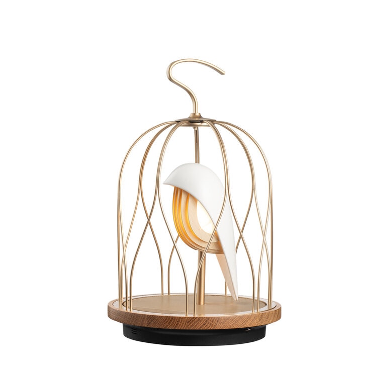 ダキコンセプト ジングーエス LED照明＆Bluetoothスピーカー