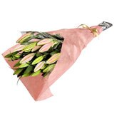 オリエンタル百合の花束 10本 ピンク 母の日期間配送 お届け日5月6日～5月11日