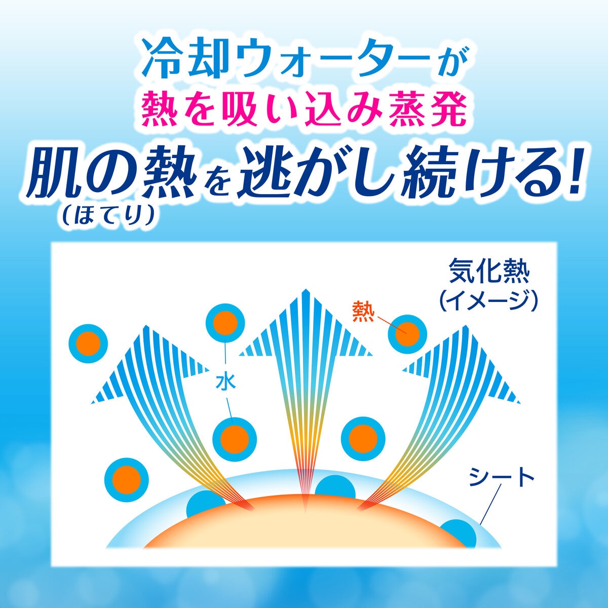 ビオレ 冷タオル 5本入りｘ3