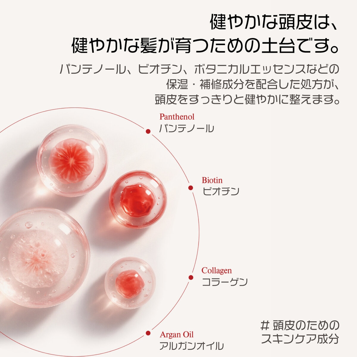 エラスティン カメリア インテンソ シャンプー 1,000 mL