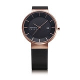 BERING WATCH スカンジナヴィアンソーラー 14639-166