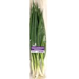 青ねぎ300G 青ねぎ300G