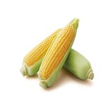 とうもろこし 4本