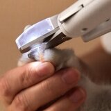 PETKIT ペット LED付爪切り COPK403 PETKIT ペット LED付爪切り COPK403