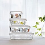 イワキ ニューパック & レンジ シンジカトウシリーズ 450ml 2点セット プチボア