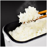 THANKO 高速弁当箱炊飯器 1合炊き RCKDSGS/TKFCLBRC