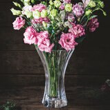 ナハトマン サファイア ベース 24cm