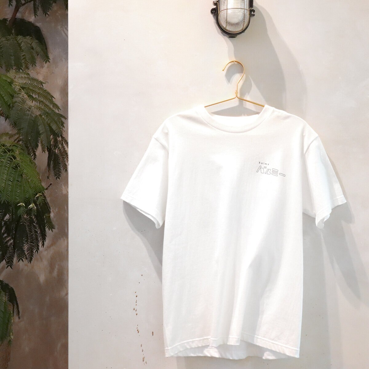 チャナカンパニー Balmy Hanger（バルミーハンガー） 「MOTTE」ハンガー 18本セット TP-ECA01-42-6ST
